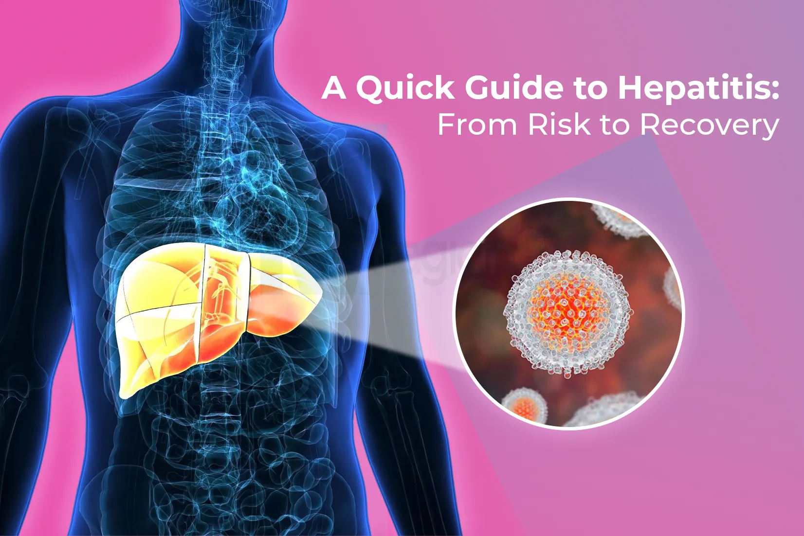 A Quick Guide to Hepatitis: From Risk to Recovery