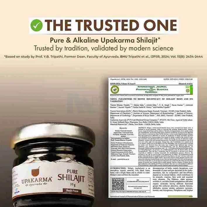 Upakarma Shilajit Resin 20g
