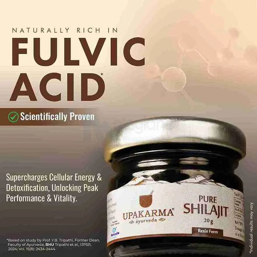 Upakarma Shilajit Resin 20g