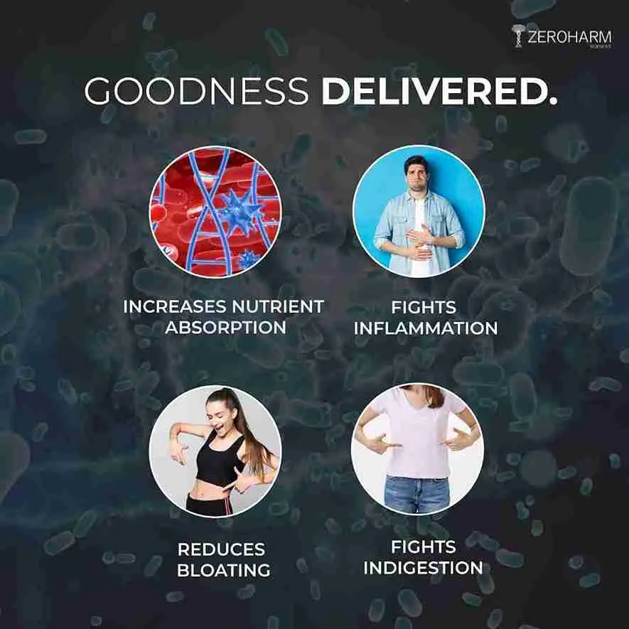 Gut Army For Immunity