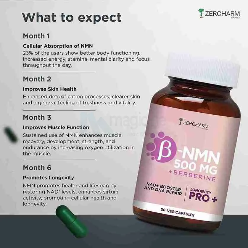 Nmn 500 Mg, Berberine | 30 Capsules To Boost Nad