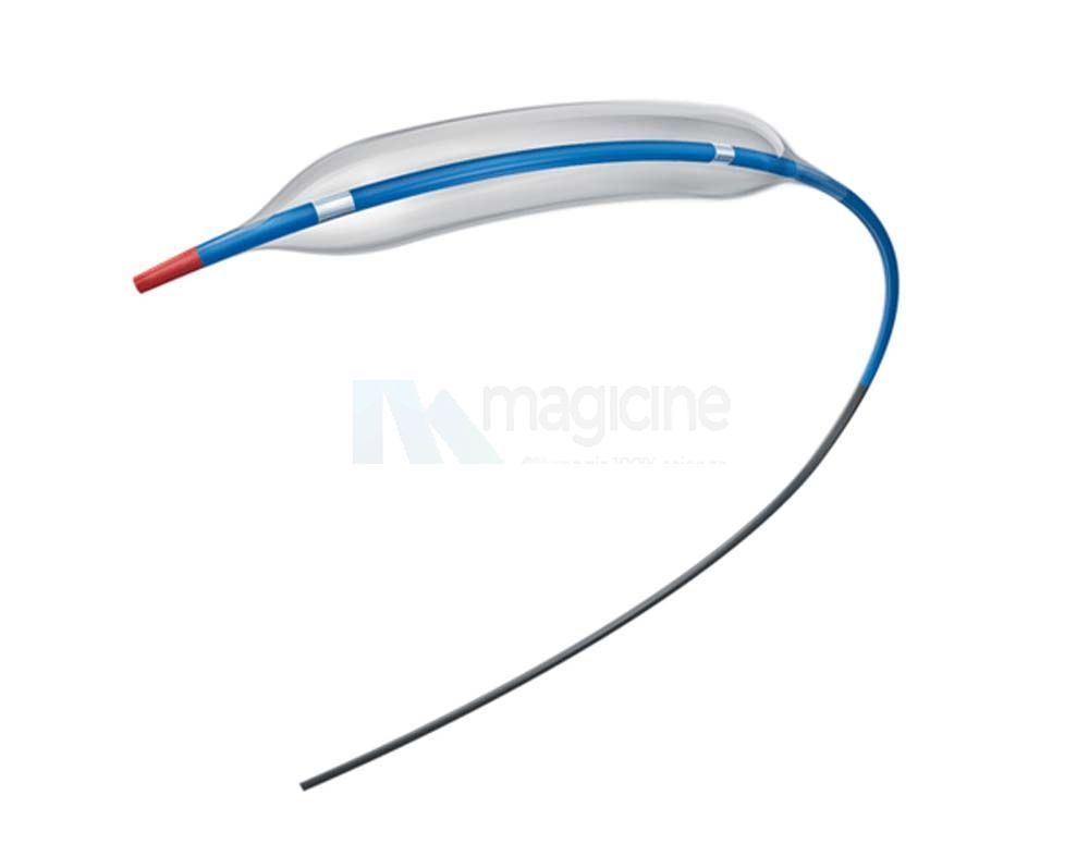 Dilatation Balloon Catheter